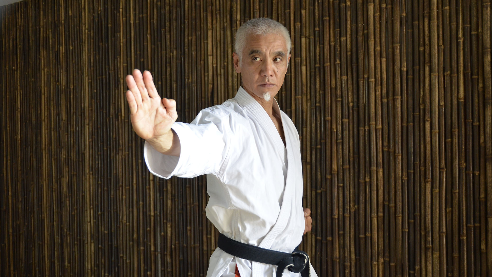 Jinsendo Karate Videos